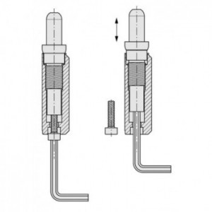 Paumelle à goutte - bague et pivot en laiton - 150mm x 22mm - réglable avec vis BTR