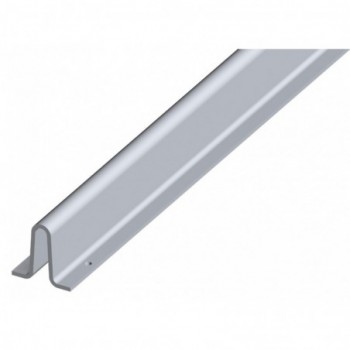 Rail à sceller galvanisé - larg 50 mm - pour Ø20mm -  3 m