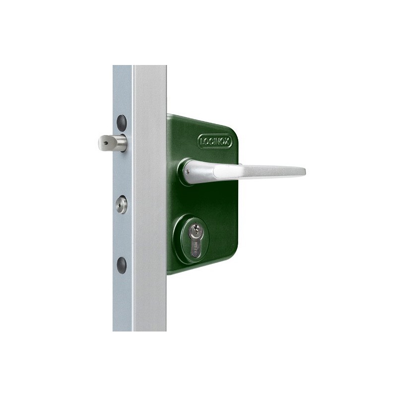 Serrure type industriel Locinox - pour profil plat de 10 à 30mm - entraxe 60mm - verte