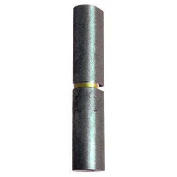Paumelle à souder axe acier et rondelle en laiton - axe Ø 5.5   60x10 mm