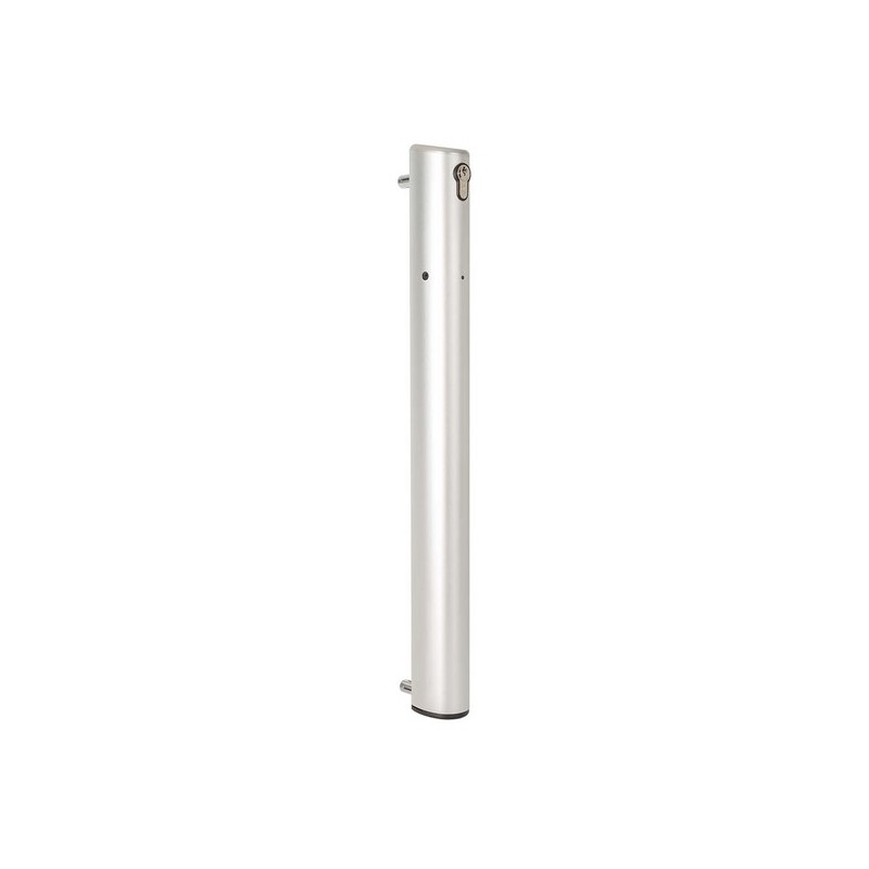 Verrou de sol electrique motorisé 24v continu à rupture pour profil mini 40x40 ral - ALU
