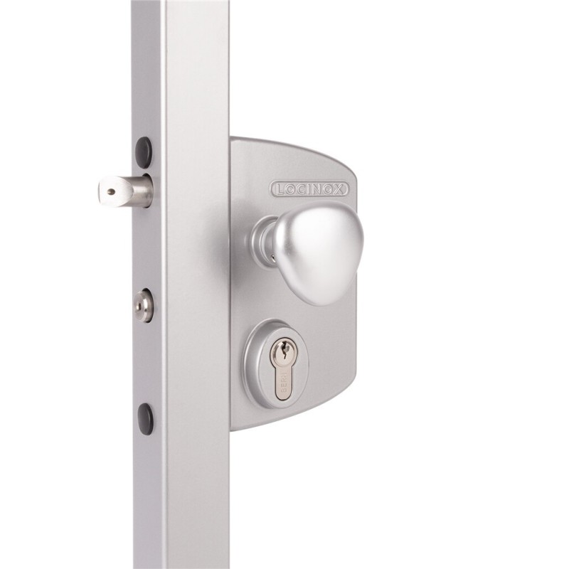 Serrure électrique à émission pour profil 30mm profiles en RAL 9010 avec 3006R - Poignée ronde en aluminium & cylindre : VSZ